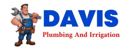 Trusted plumber in JOHNSONBURG